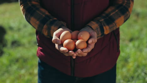 farmer, agriculture and eggs in hands for poultry
