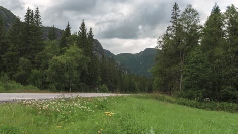 mountain forest road, time lapse of cars driving on overcast day