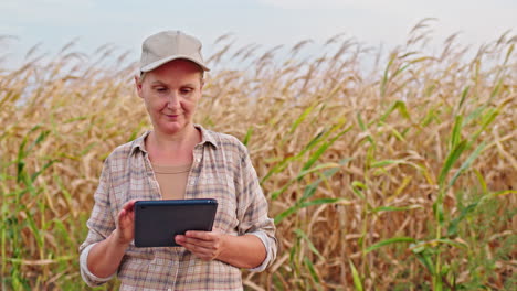 agricultor que utiliza tabletas en el campo de maíz
