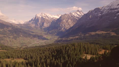 Drohnenaufnahmen-Aus-Der-Luft,-Die-Sich-über-Fichten-Vor-Dem-Wetterhorn-In-Grindelwald-In-Den-Schweizer-Alpen-Schieben