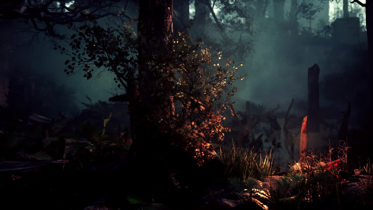 Dark and mysterious forest with fog