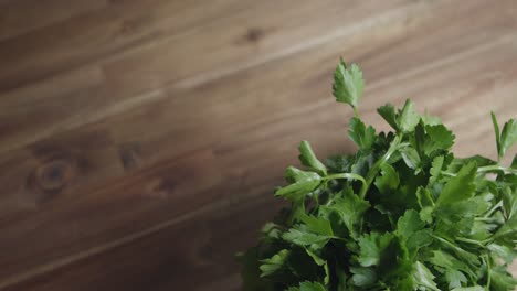 topshot of a fresh bunch of flat-leaf parsley