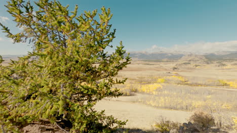 open field in kenosha pass, colorado