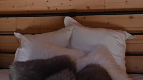 pillows, white fur blanket in a room with a wooden wall, bed supply