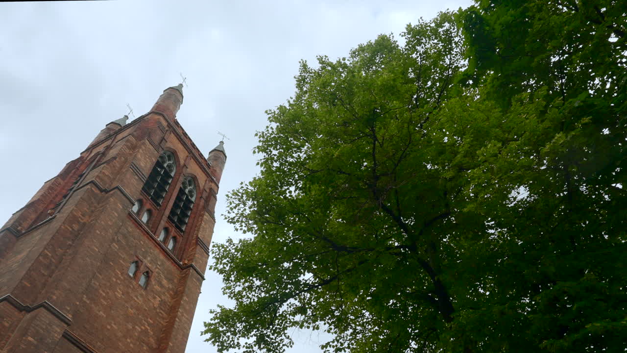 церковная башня с деревом