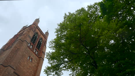 torre de la iglesia con árbol