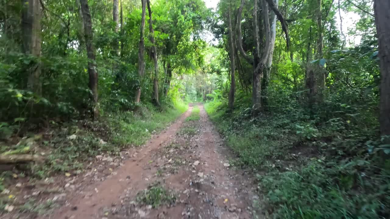 조용한 숲길을 따라 진행