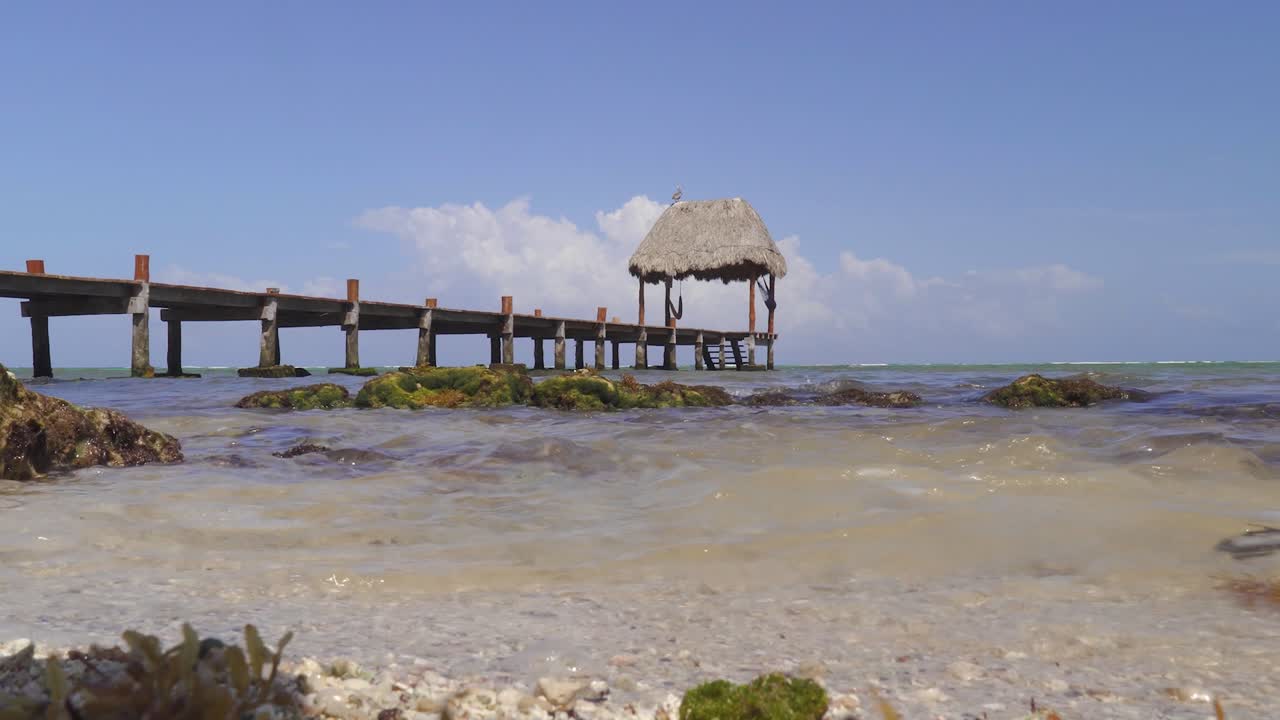 marea en calma llegando a la costa con muelle y dosel en segundo plano.