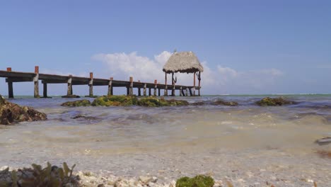 calm ocean tide coming into shore with dock and canopy in background