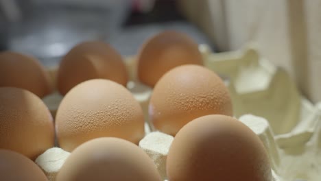 wet eggs inside refrigerator, motion back view