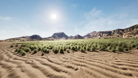 stoney desert in outback australia