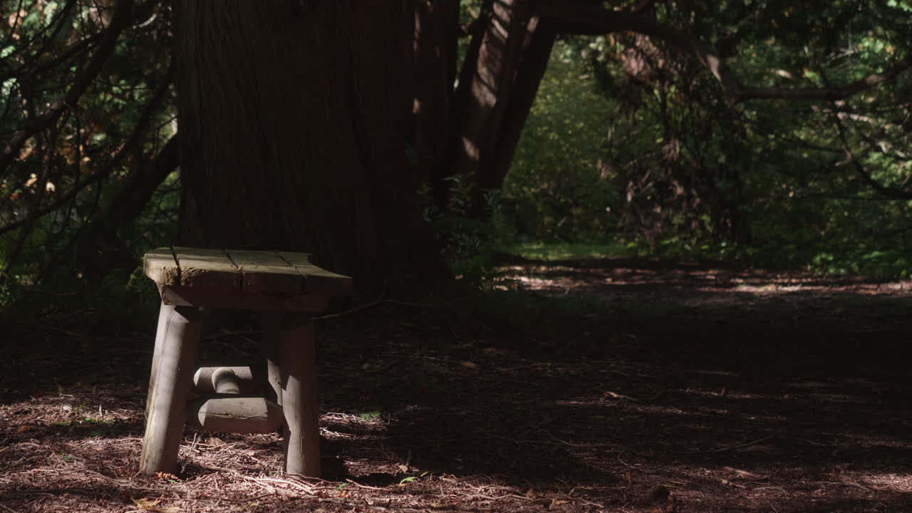 A shot under the shadows of dark green forest. A rest spot for hikers