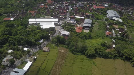 Aerial-view-of-tidy-green-rice-paddy-fields-in-Nyepi,-Bali,-Indonesia