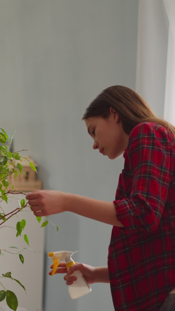 mujer con camisa roja lava hojas de ficus rociando agua de la botella en la sala de estar en cámara lenta. cuidando de plantas exóticas en el jardín doméstico