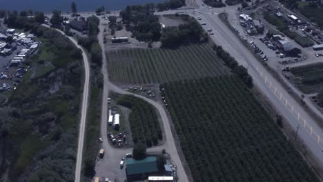 Aerial-birds-eye-view-fly-over-sunny-lakeside-cottages-next-to-vineyards-winery-estates-with-docks-parked-yachts-marajuana-plantations-grapes-vines-processing-plants-in-Kelowna-BC-Canada-dirt-road-1-2