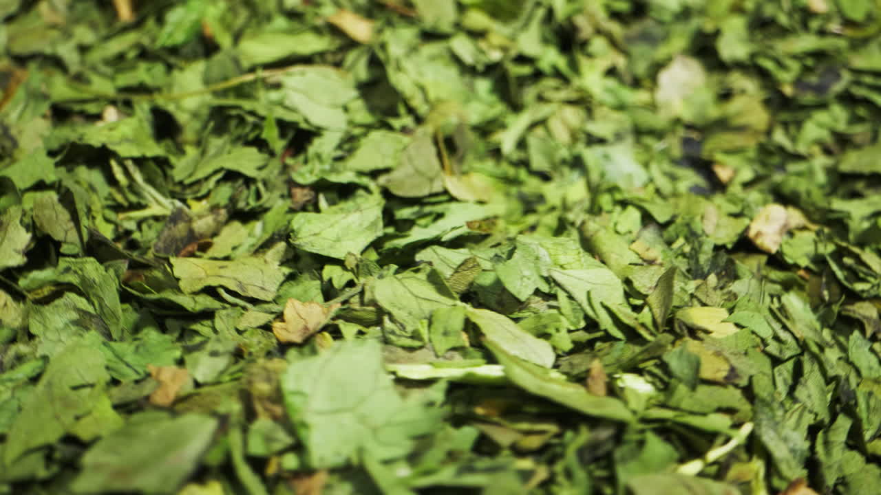 Dried green dill close-up macro. Spice for food. Man hand strewing dill on food . High quality 4k footage
