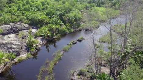 drone footage of the police bay mangrove, mahe seychelles, 30fps