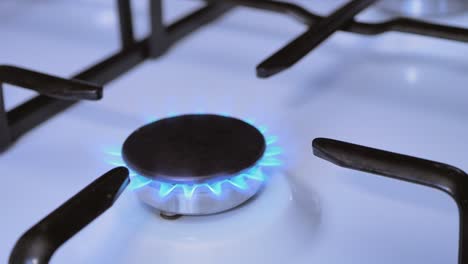 la llama de gas se enciende utilizando una ignición eléctrica en la estufa de la cocina
