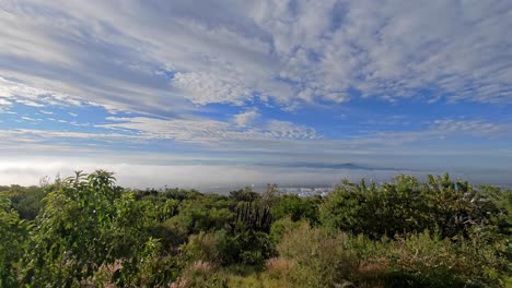 Verdant-meadow-with-a-distant-tree-line-under-a-wide,-cloud-streaked-sky