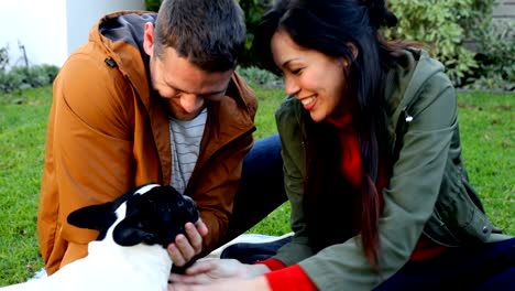 affectionate couple playing with pet dog 4k