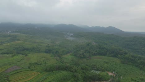 Drone-view-tropical-rural-landscape-of-green-agricultural-field-and-village-in-cloudy-morning