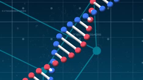 Animation-Des-DNA-Strangs-über-Ein-Netzwerk-Von-Verbindungen