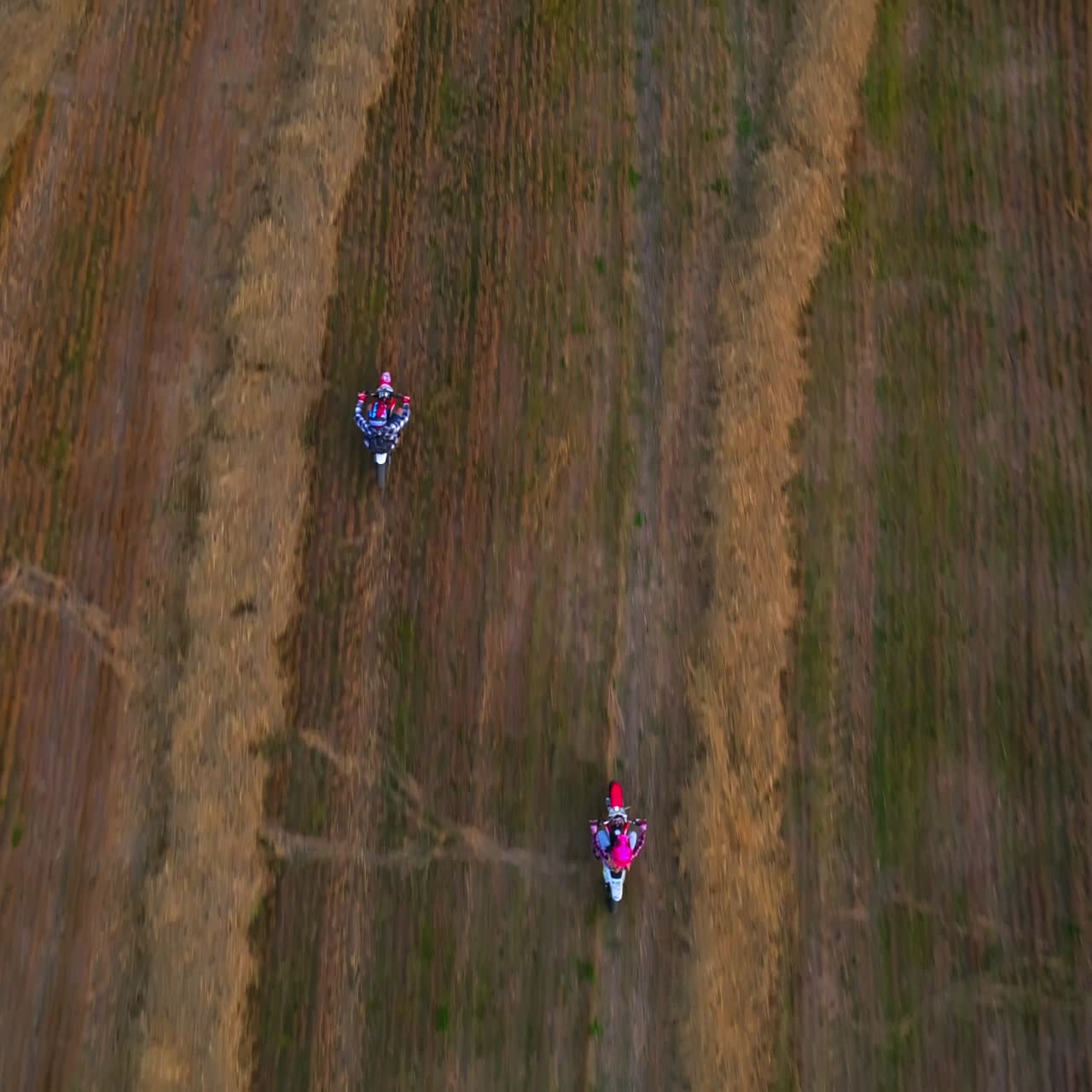 Riding motorbikes in the field with left hay. Happy couple of young people riding their vehicles in the cut farmlands. Bird's eye view
