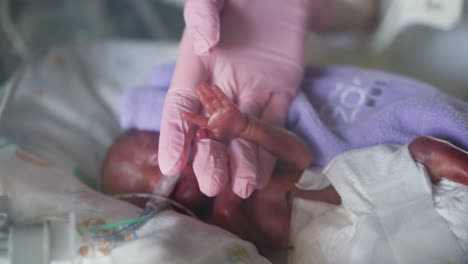 premature baby receiving care