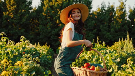 woman harvesting fresh vegetables in a sunny garden