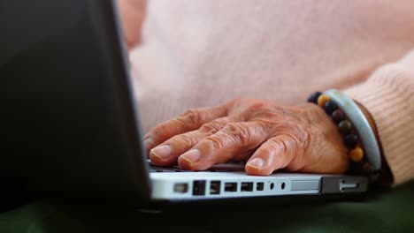 senior woman using laptop in living room