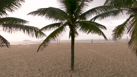 Slow-motion-handheld-passing-through-the-tops-of-a-group-of-palm-trees-and-through-the-leaves-on-an-empty-Rio-de-Janeiro-beach-at-golden-hour-sunrise