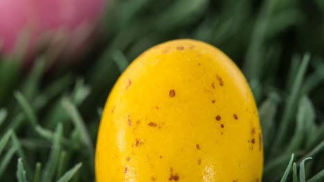 animación de huevo de pascua naranja en el césped