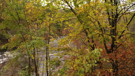 Eine-Aufnahme-Des-Herbstlaubs-Im-Bundesstaat-New-York-Aus-Der-Tiefwinkelansicht