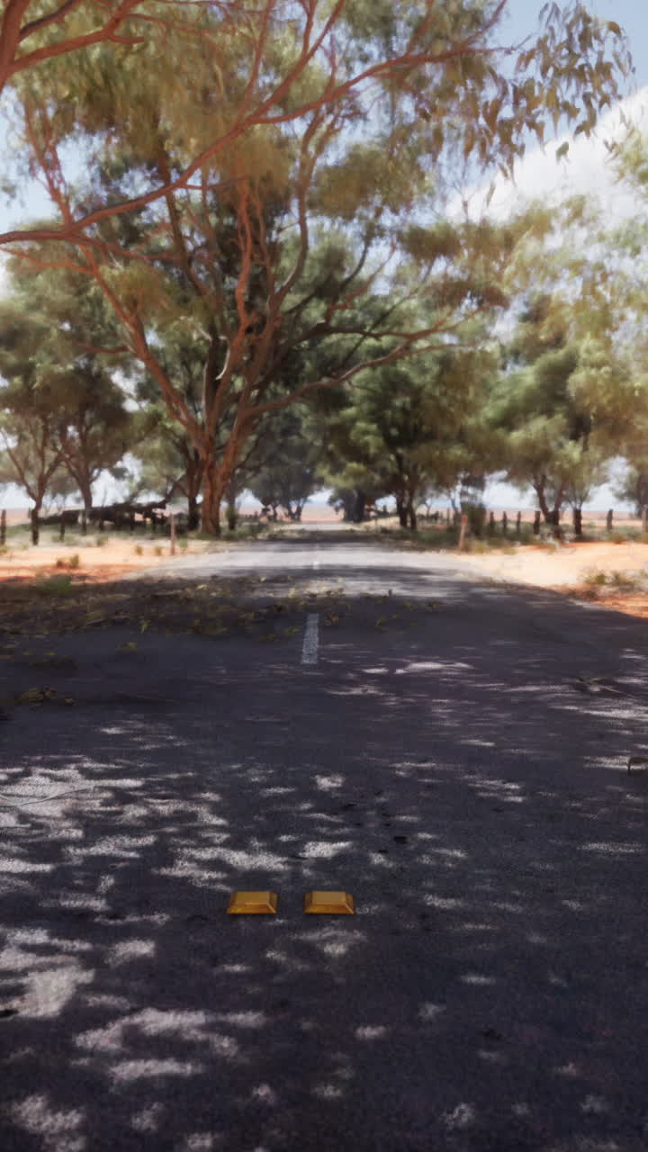 오스트레일리아 의 외 지역 의 나무 들 을 가로질러 가는  빈 길