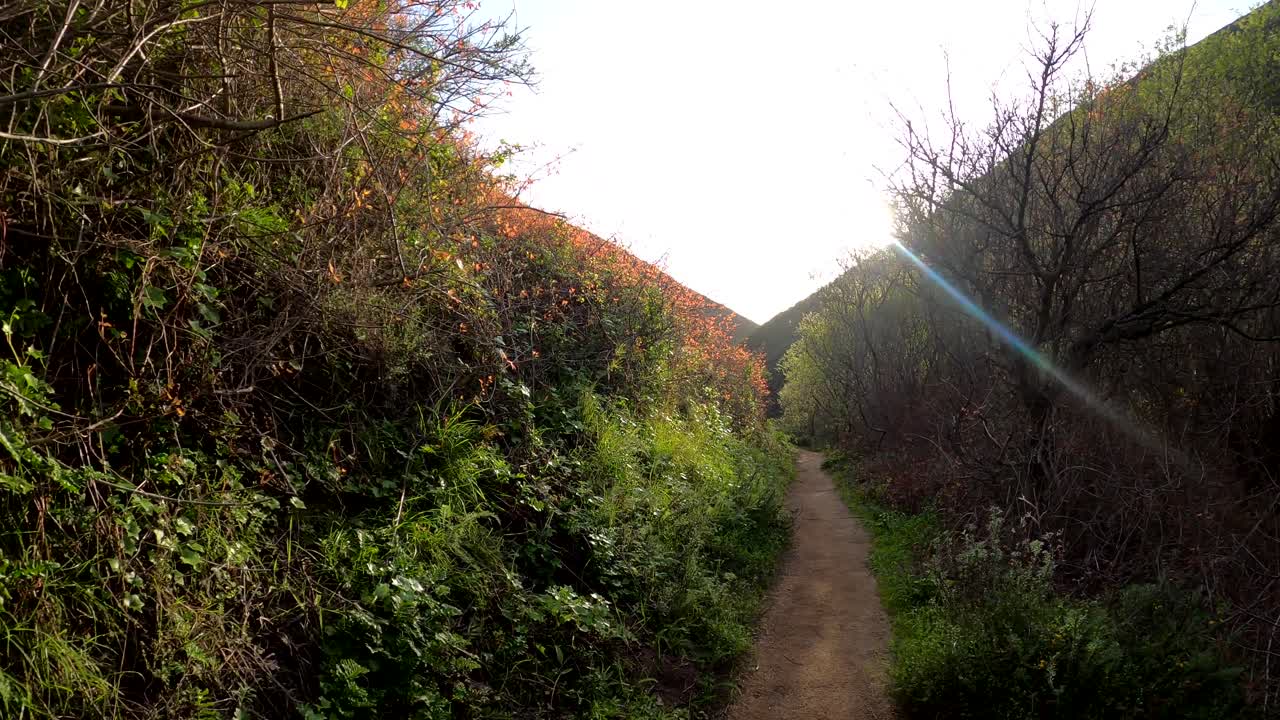 캘리포니아 카멜 근처에 위치한 소베란스 캐년 트레일