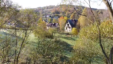 drone flying through trees in beautiful autumn scenery