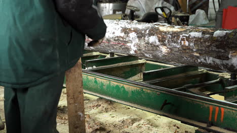 worker adjusting log on stationary bandsaw in sawmill, static view