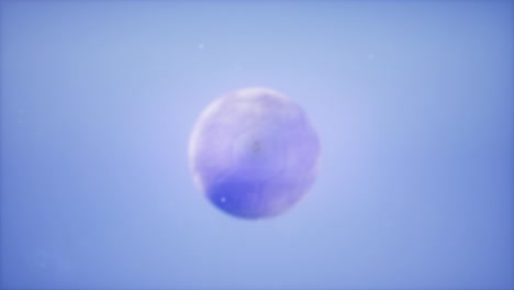4K Super slow motion flying soccer ball on blue sky background