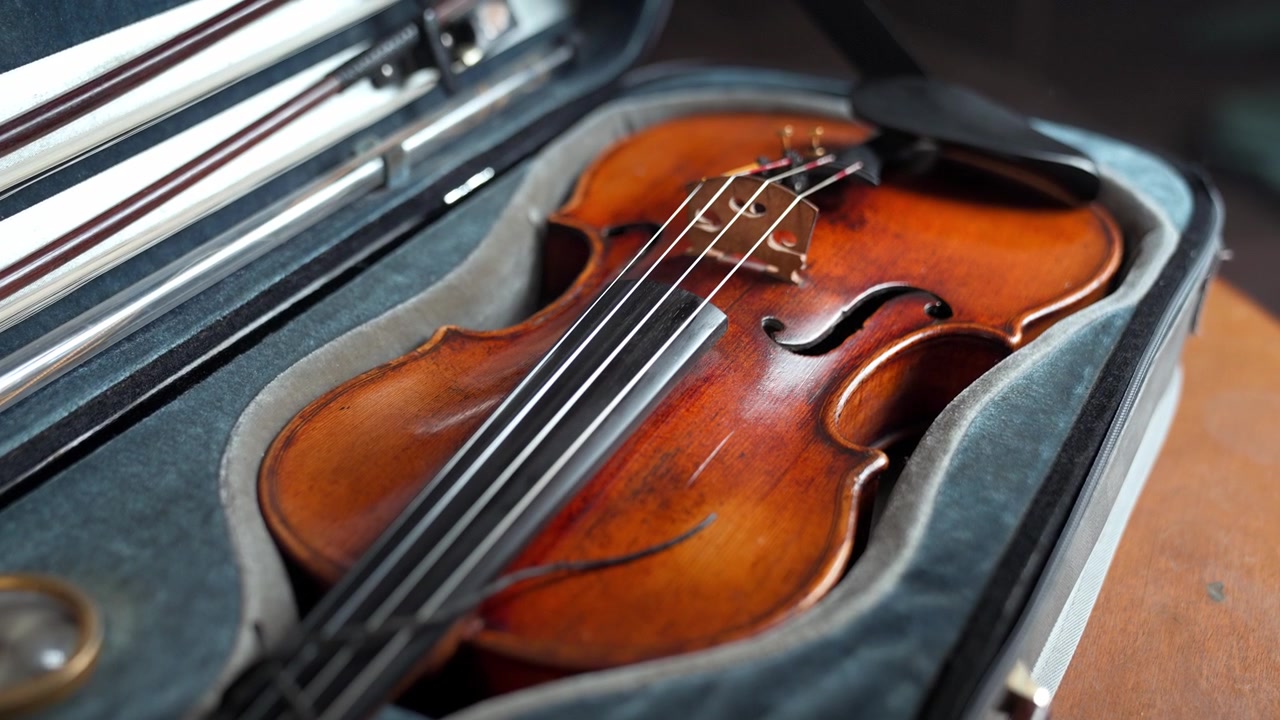Elegante Violine enthüllt in ihrem edlen Samtkoffer