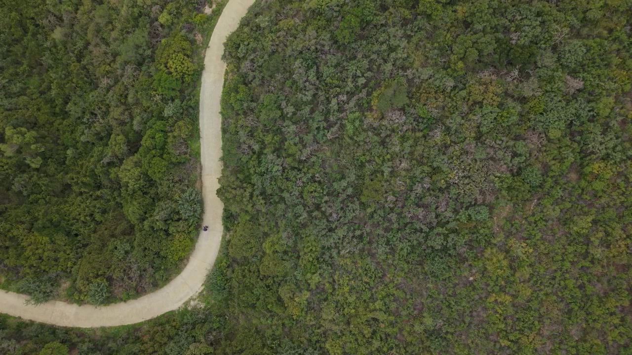 Vista dall'alto di un escursionista che cammina lungo un sentiero forestale tortuoso circondato da alberi fitti. Ripresa aerea
