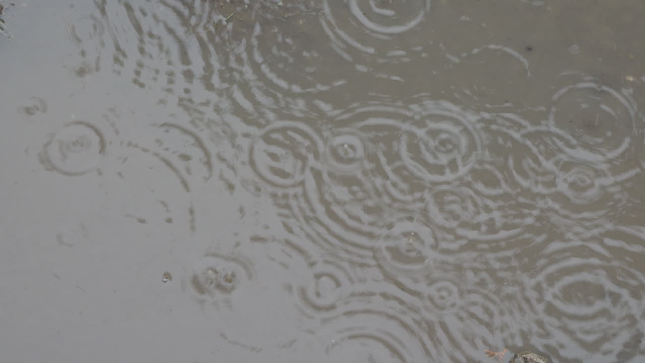 비가 오는 날 물 웅 ⁇ 이에 떨어지는  ⁇ 방울