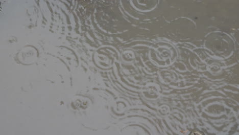 raindrops falling in a puddles of water on a rainy day