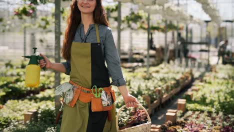 beautiful female gardener walking in a greenhouse watering plants