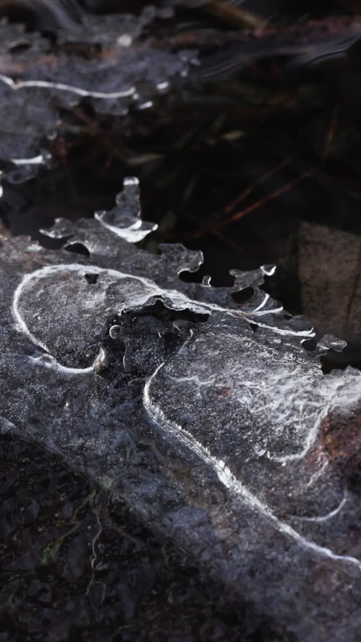 강에 있는 얼음 어리