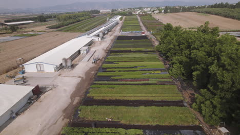 Aerial-view-of-a-tractor-driving-near-fields-of-green-plants-in-a-kibbutz-in-northern-Israel-during-the-summer,-mountains-in-the-background,-parallax-to-the-right