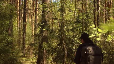 Hiking-woman-walk-with-a-hiking-backpack-in-spring-green-forest