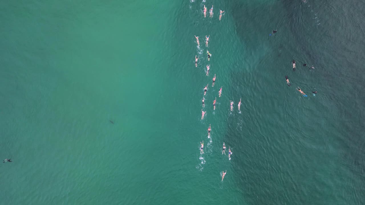 경쟁자들은 오스트레일리아 서프 라이프 세이빙 챔피언십에서 오픈 워터 수영 경주에 출전합니다.