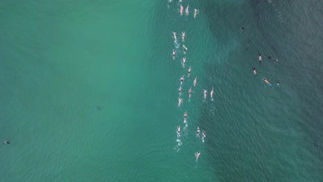 Teilnehmer-Konkurrieren-In-Einem-Freiwasserschwimmen-Rennen-Bei-Einer-Australischen-Surf-Life-Saving-Championships