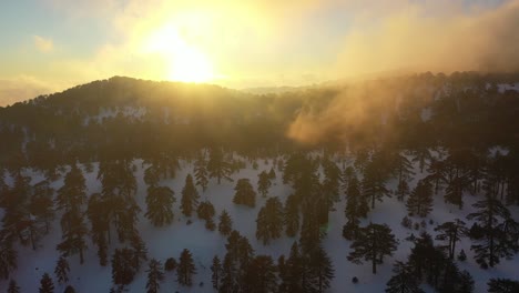 Montañas-Nevadas-Y-Bosques-De-Pinos-En-El-Mediterráneo