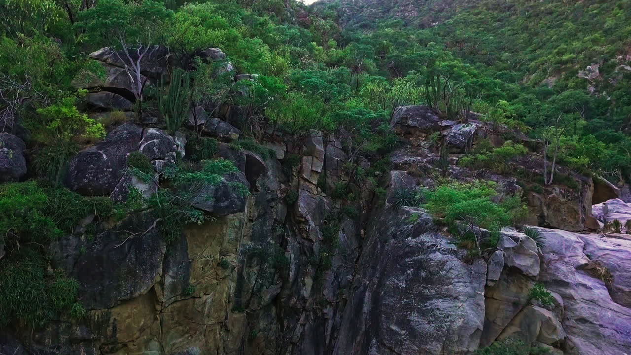 tiro de drone de un acantilado en el bosque de méxico